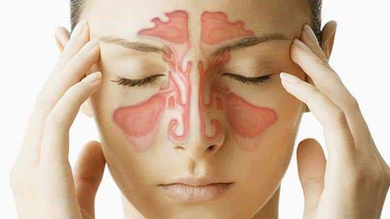 анатомия и функции придаточных пазух носа