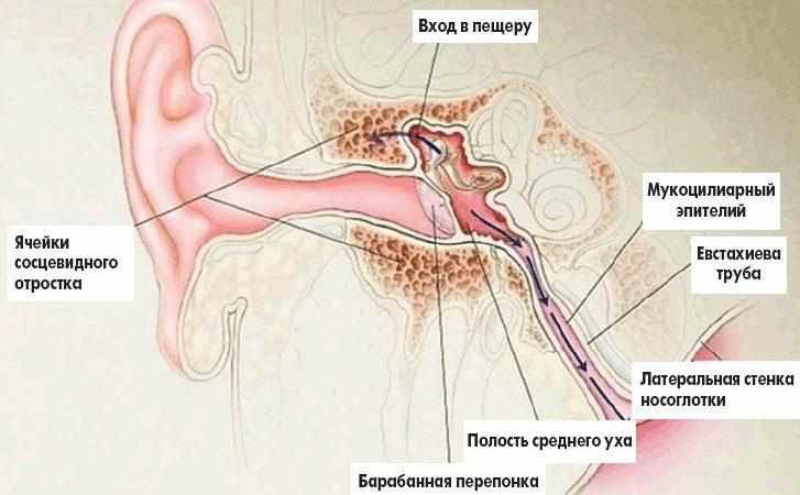 воспаление среднего уха называют