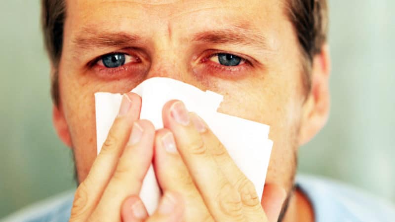 аллергический ринит лечение народными средствами