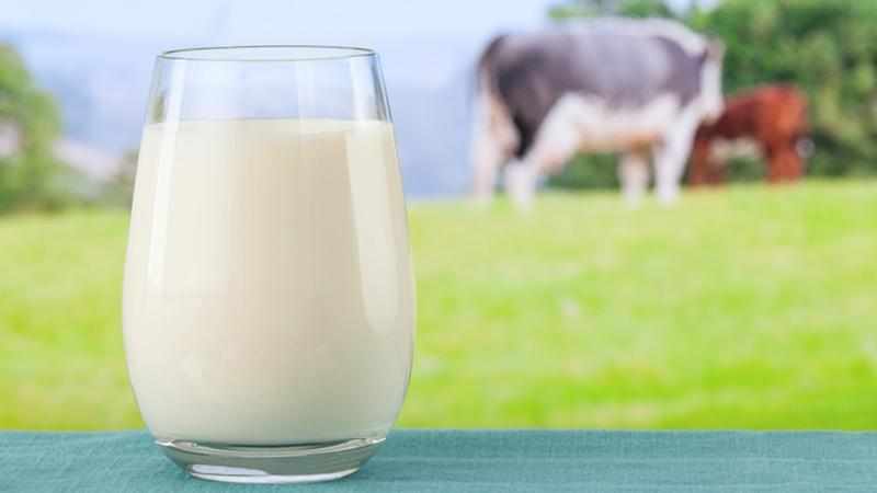 можно ли теплое молоко с содой при беременности