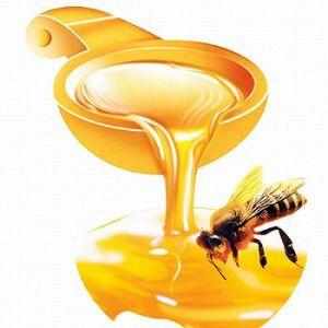 мед в нос при гайморите