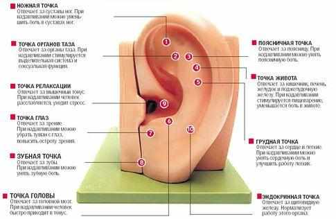 массаж ушей при заложенности уха