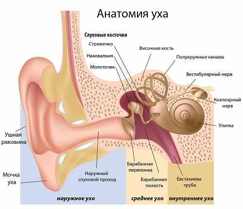 лечение отита уха