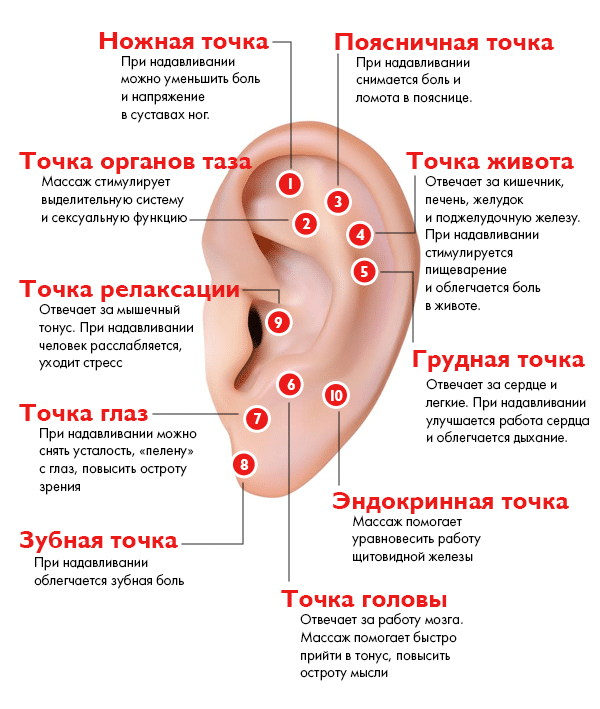 массаж уха-2
