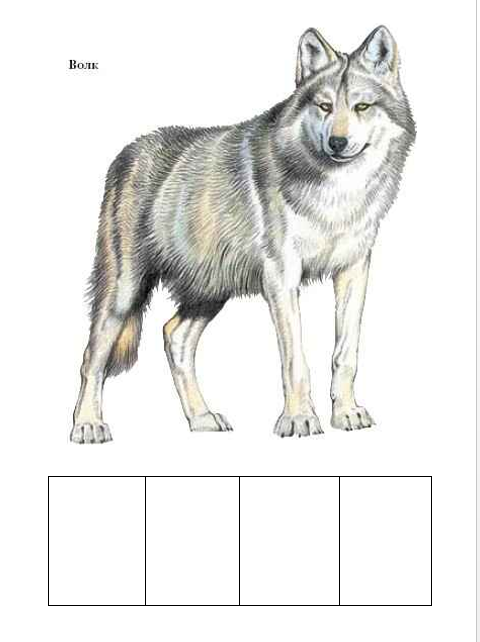 Составить слово волка. Волк для детей. Волк картинка для детей. Схематический волк. Волк звуковая схема.