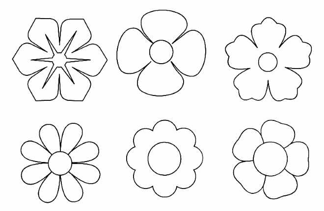Шаблоны цветков разной формы