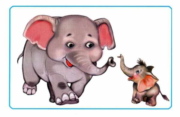 Слониха и слоненок карточка