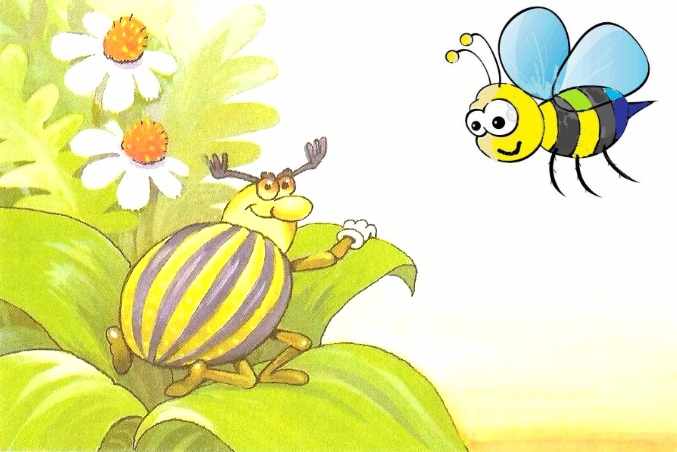 Пчела и жук