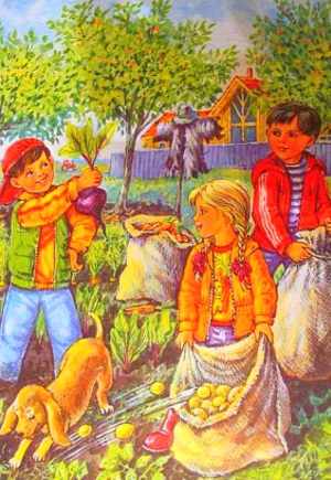 Дети собирают урожай