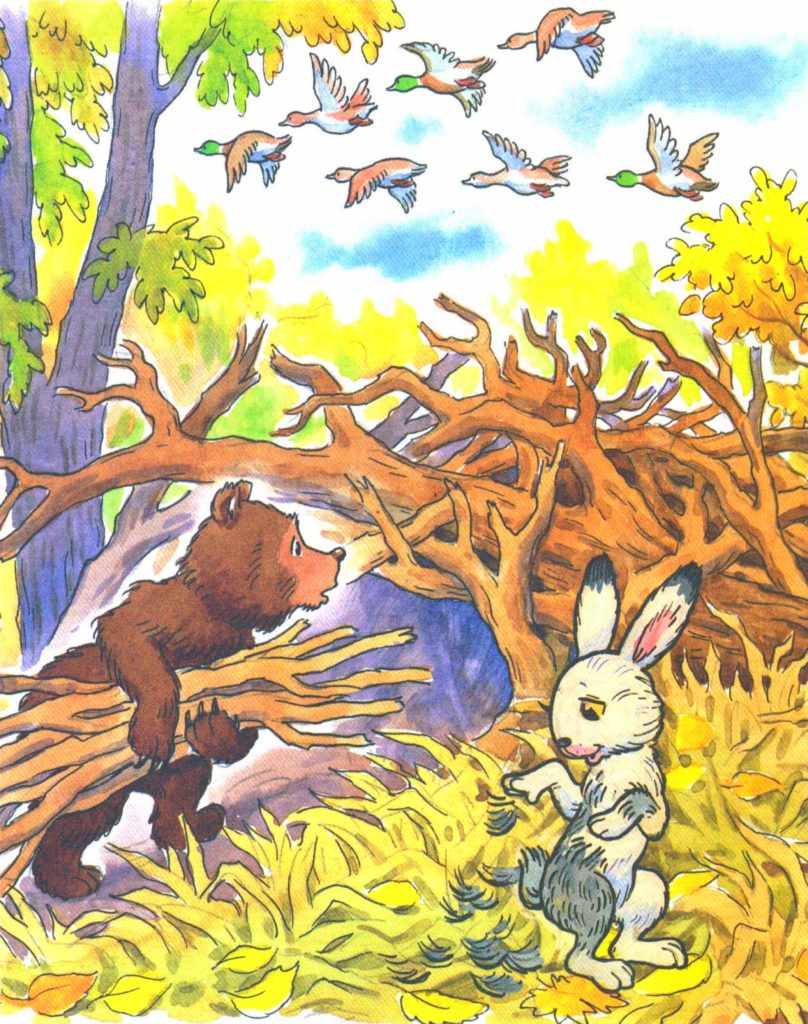 Мишка и зайка в лесу