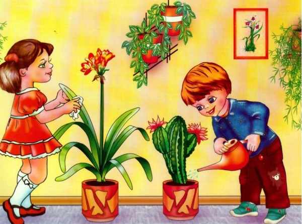 Дети ухаживают за комнатными растениями